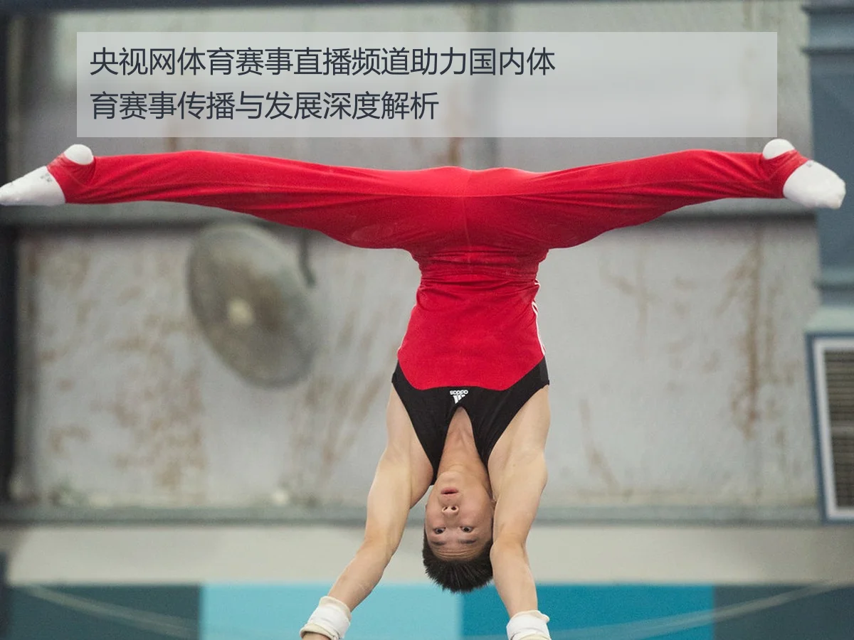 央视网体育赛事直播频道助力国内体育赛事传播与发展深度解析
