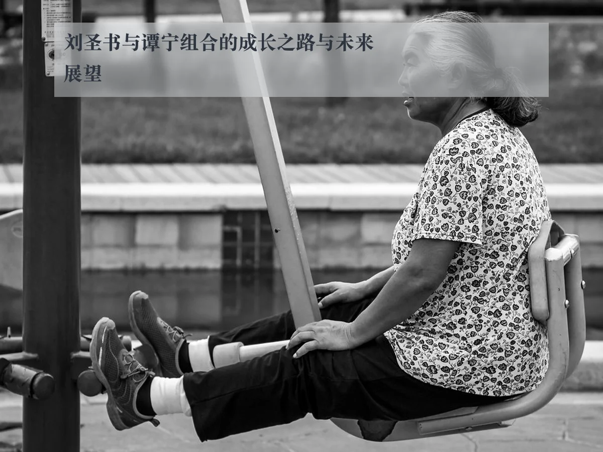 刘圣书与谭宁组合的成长之路与未来展望